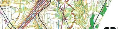 Brussels Orienteering Challenge - Watermael-Boitsfort